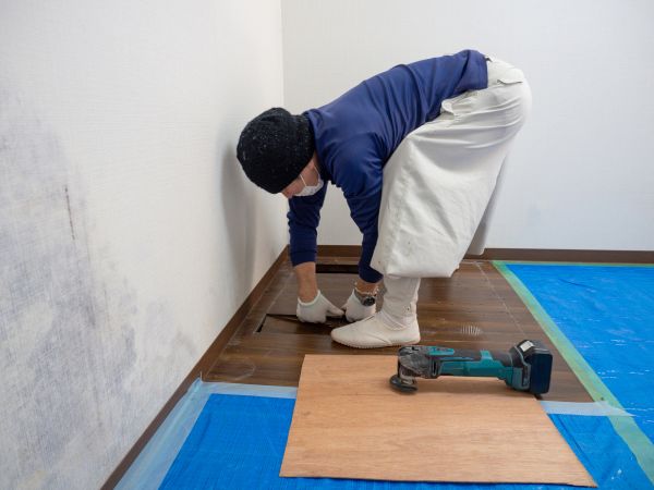 Creaky Floor Repair