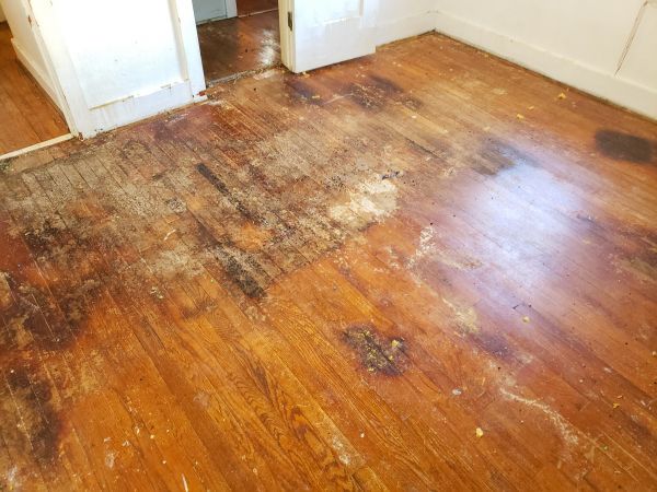 Wood Floor Damage Repair - Wood Floor Damage Repair Chapel Hill, North Carolina