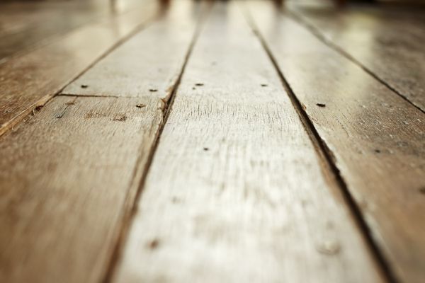 Trailer Floor Renovation