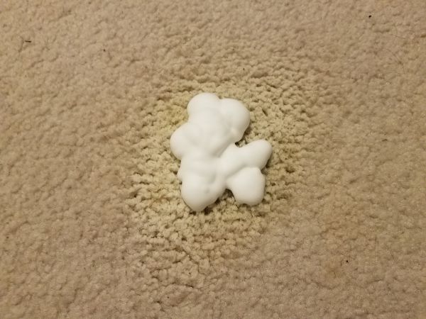 Pet Stain Carpet Repair