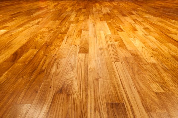 Commercial Floor Refinishing - Commercial Floor Refinishing Hermitage, Tennessee