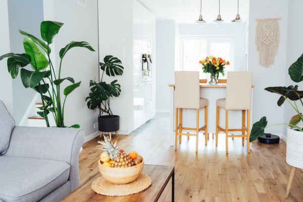 Bamboo Floor Installation