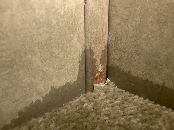 Carpet Water Damage Repair - Carpet Water Damage Repair Hamilton County, Indiana