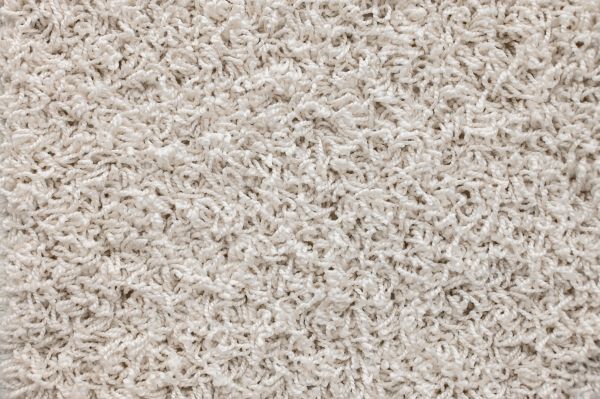 Shag Carpet Laying