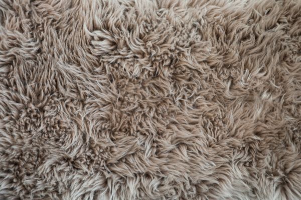 Shag Rug Installation