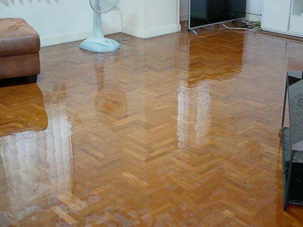Flooded Floor Repair - Flooded Floor Repair Allentown, Pennsylvania